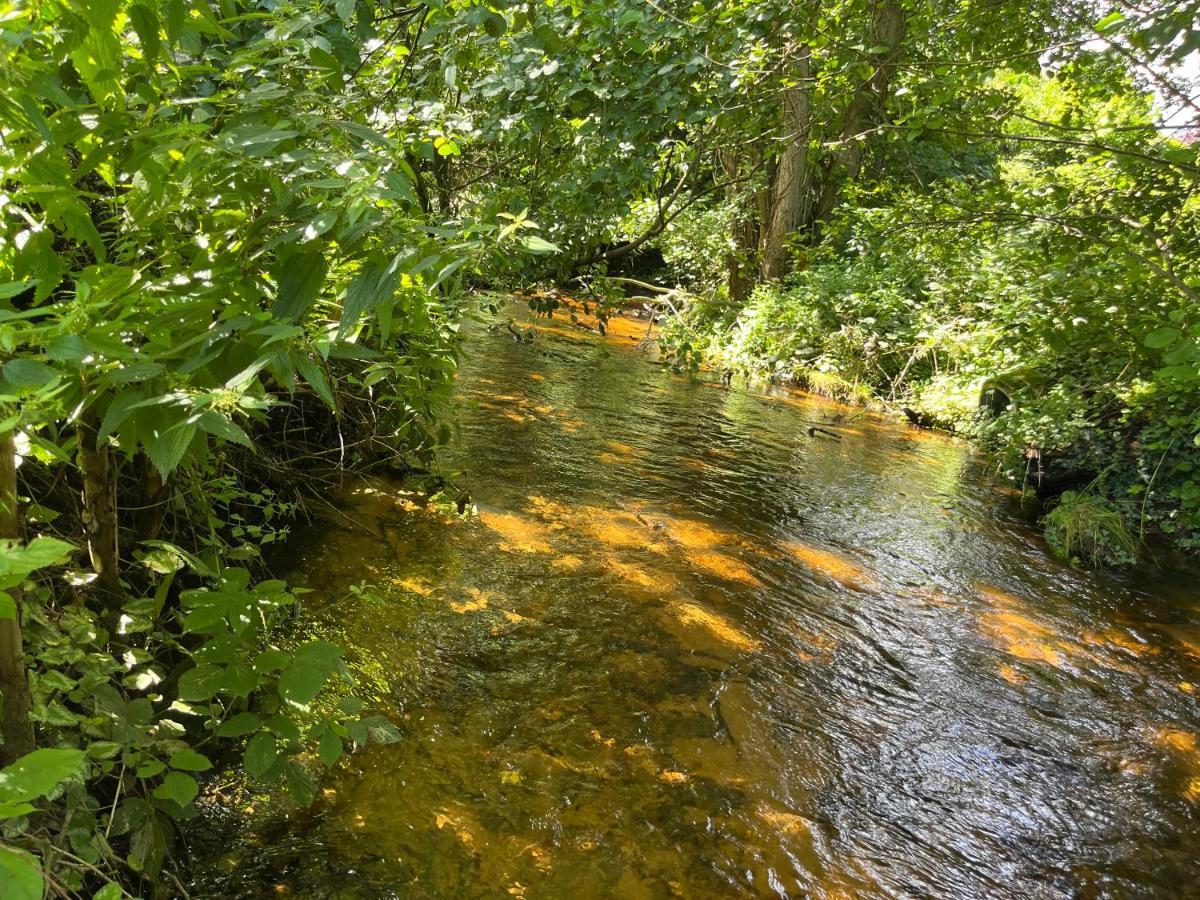 Appartamento Gruen In Gruen Detmold Esterno foto