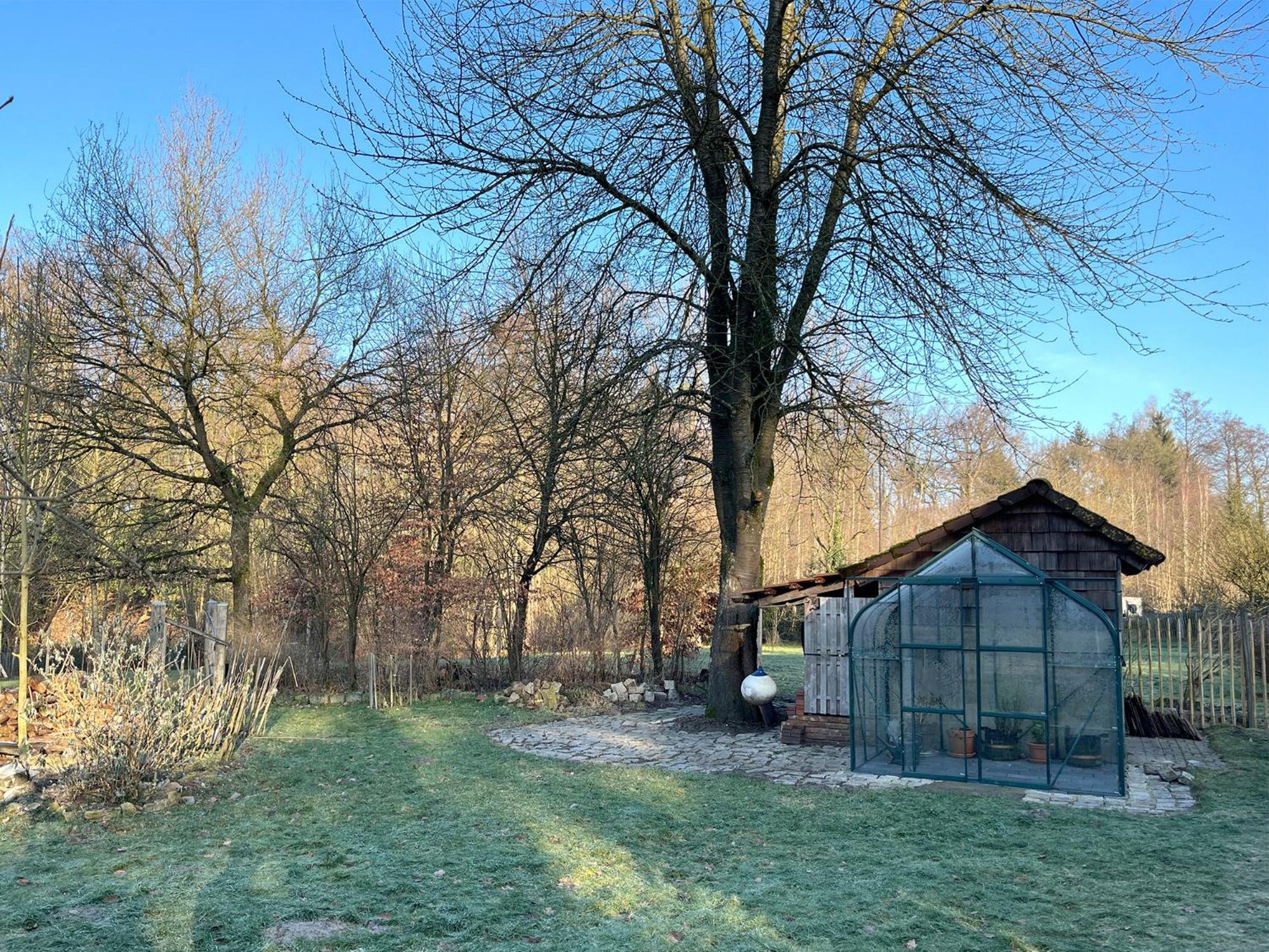 Appartamento Gruen In Gruen Detmold Esterno foto